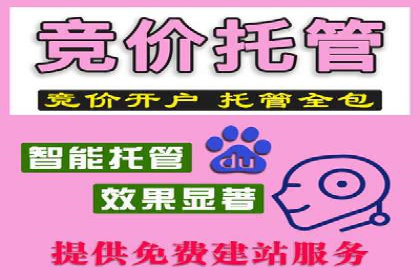 竞价托管sem深度解析：效果与投入的平衡